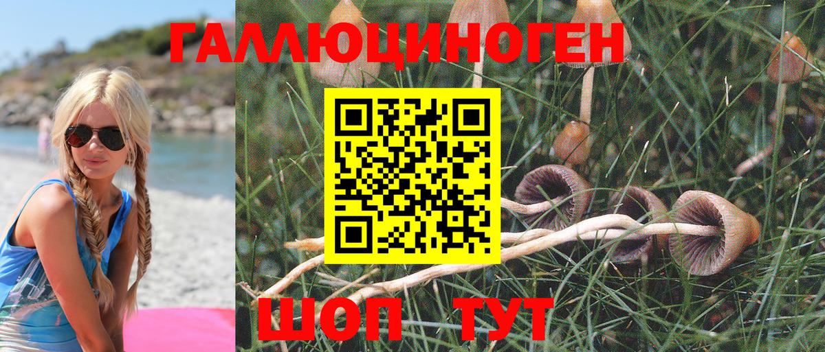 Псилоцибиновые грибы MAGIC MUSHROOMS  Галлюциногенные грибы Psilocybe  Реж  Вход с VPN 